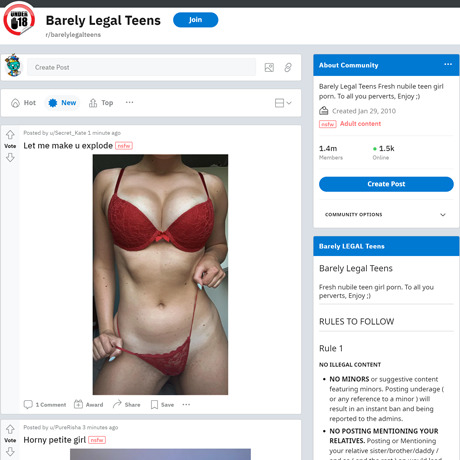 Reddit Barely Legal Teens 633 Reddits NSFW List Like reddit com  